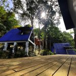 A Frame Room picture