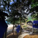 A Frame Room picture